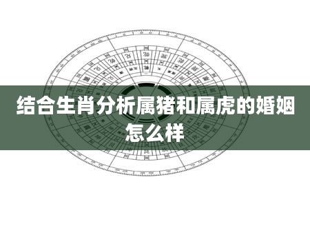 结合生肖分析属猪和属虎的婚姻怎么样