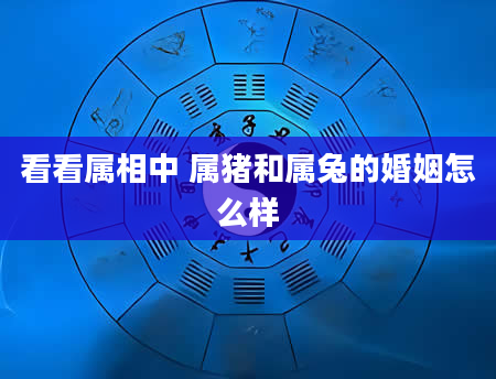 看看属相中 属猪和属兔的婚姻怎么样