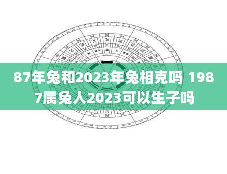 87年兔和2023年兔相克吗 1987属兔人2023可以生子吗