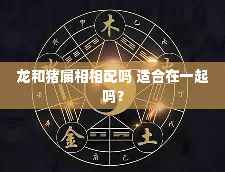 龙和猪属相相配吗 适合在一起吗？