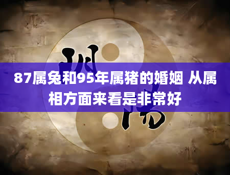 87属兔和95年属猪的婚姻 从属相方面来看是非常好