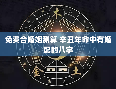 免费合婚姻测算 辛丑年命中有婚配的八字