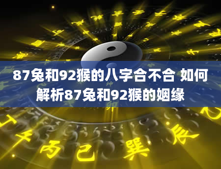 87兔和92猴的八字合不合 如何解析87兔和92猴的姻缘