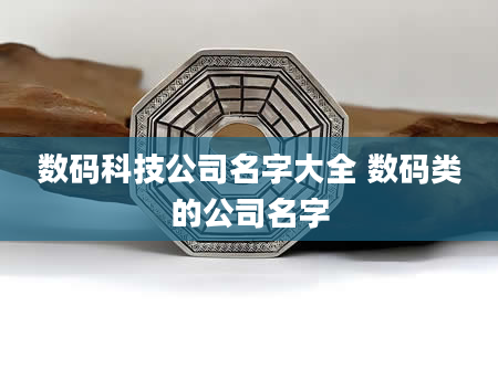 数码科技公司名字大全 数码类的公司名字