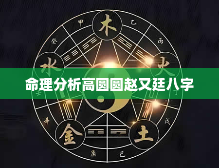 命理分析高圆圆赵又廷八字