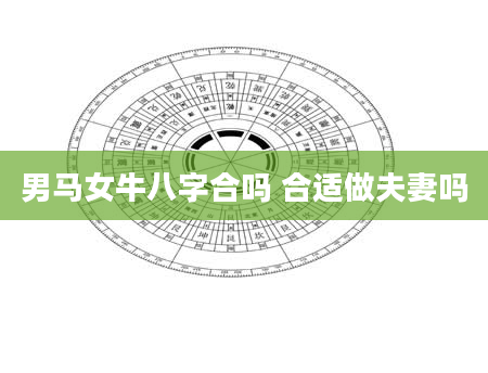 男马女牛八字合吗 合适做夫妻吗