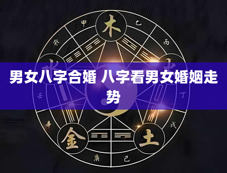 男女八字合婚 八字看男女婚姻走势