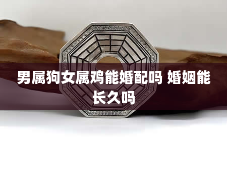 男属狗女属鸡能婚配吗 婚姻能长久吗