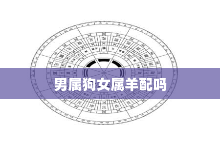 男属狗女属羊配吗