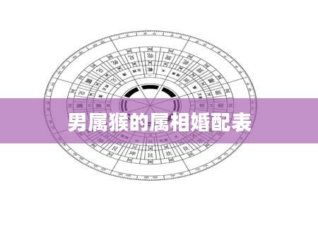 男属猴的属相婚配表