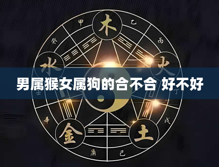 男属猴女属狗的合不合 好不好