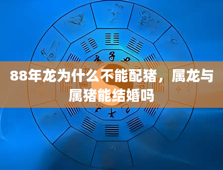 88年龙为什么不能配猪，属龙与属猪能结婚吗