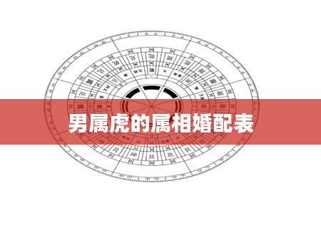 男属虎的属相婚配表