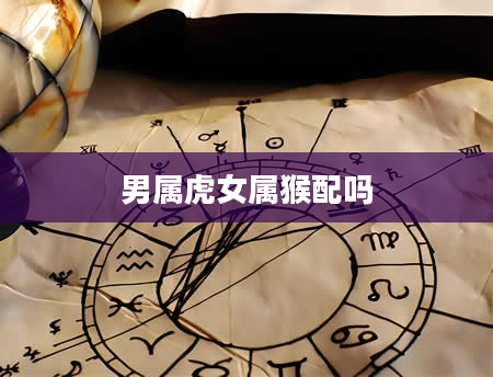 男属虎女属猴配吗