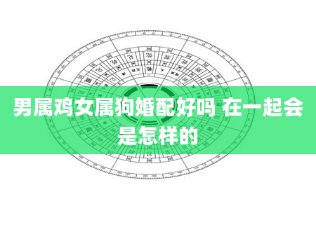 男属鸡女属狗婚配好吗 在一起会是怎样的
