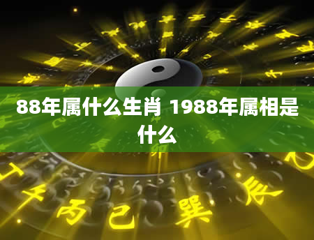 88年属什么生肖 1988年属相是什么