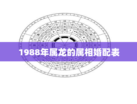 1988年属龙的属相婚配表