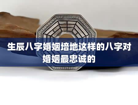 生辰八字婚姻培地这样的八字对婚姻最忠诚的