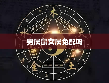 男属鼠女属兔配吗