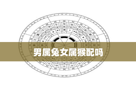 男属兔女属猴配吗