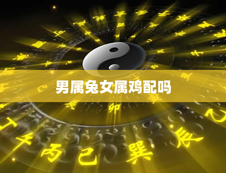 男属兔女属鸡配吗