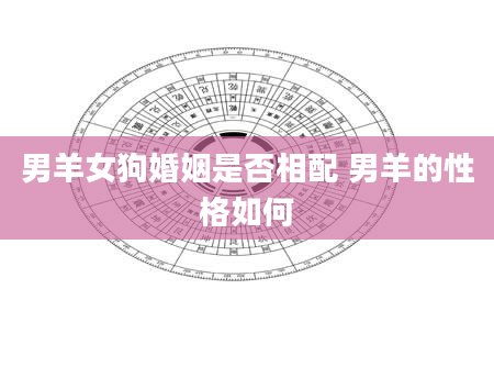 男羊女狗婚姻是否相配 男羊的性格如何