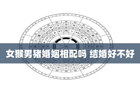 女猴男猪婚姻相配吗 结婚好不好