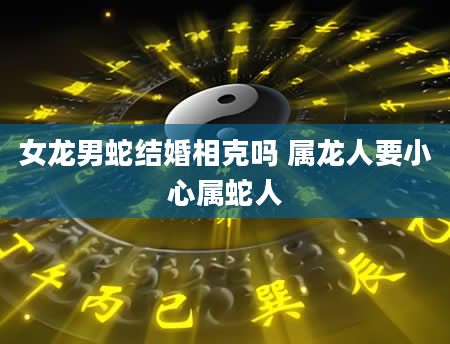 女龙男蛇结婚相克吗 属龙人要小心属蛇人