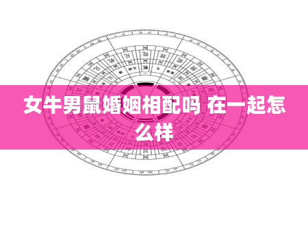 女牛男鼠婚姻相配吗 在一起怎么样