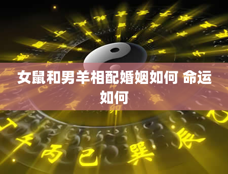 女鼠和男羊相配婚姻如何 命运如何