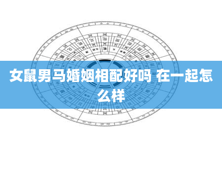 女鼠男马婚姻相配好吗 在一起怎么样