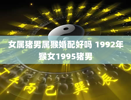女属猪男属猴婚配好吗 1992年猴女1995猪男