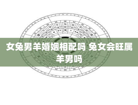 女兔男羊婚姻相配吗 兔女会旺属羊男吗