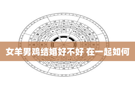 女羊男鸡结婚好不好 在一起如何