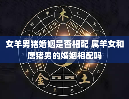 女羊男猪婚姻是否相配 属羊女和属猪男的婚姻相配吗