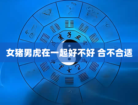 女猪男虎在一起好不好 合不合适