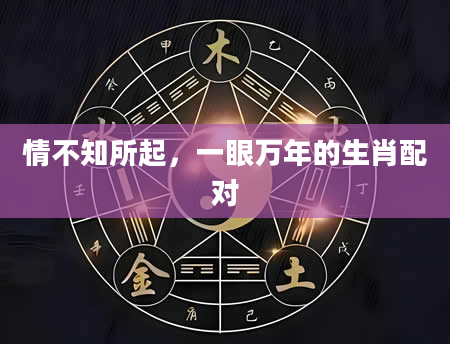 情不知所起，一眼万年的生肖配对