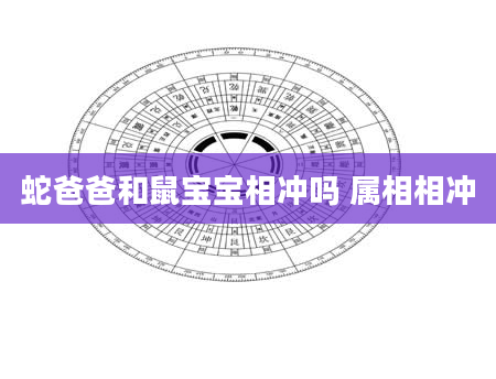 蛇爸爸和鼠宝宝相冲吗 属相相冲