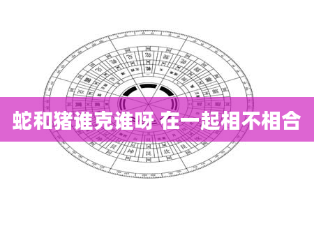 蛇和猪谁克谁呀 在一起相不相合