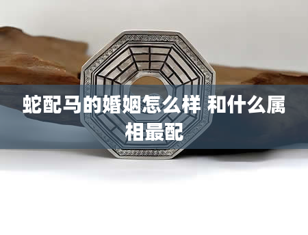 蛇配马的婚姻怎么样 和什么属相最配