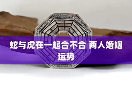 蛇与虎在一起合不合 两人婚姻运势