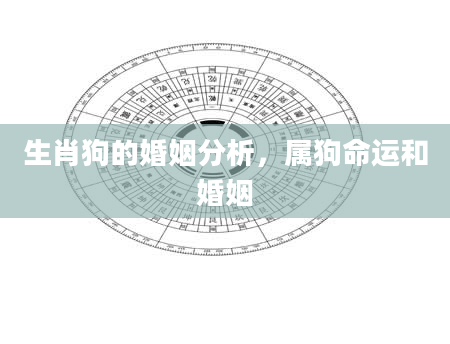 生肖狗的婚姻分析，属狗命运和婚姻