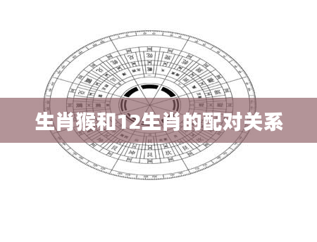 生肖猴和12生肖的配对关系