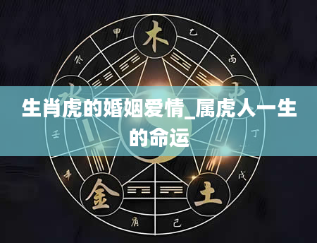 生肖虎的婚姻爱情_属虎人一生的命运