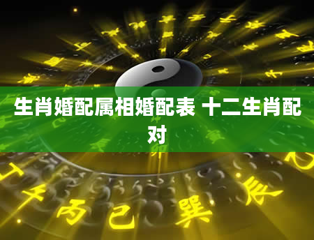 生肖婚配属相婚配表 十二生肖配对
