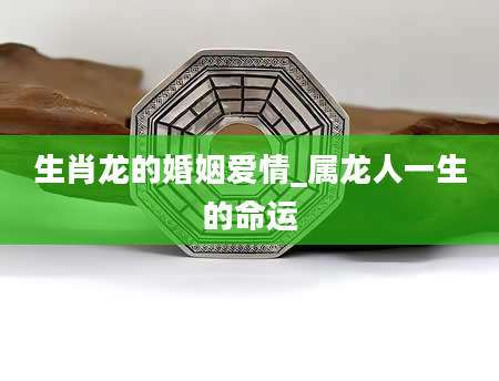 生肖龙的婚姻爱情_属龙人一生的命运