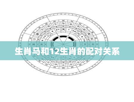 生肖马和12生肖的配对关系