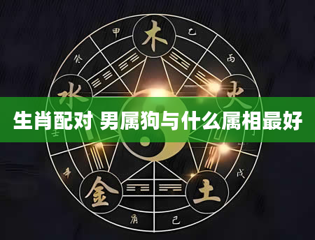 生肖配对 男属狗与什么属相最好