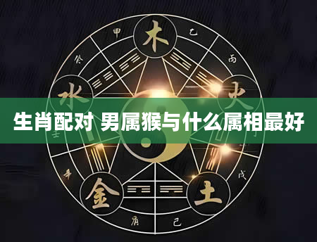 生肖配对 男属猴与什么属相最好