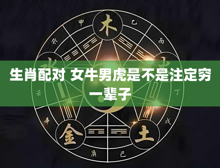 生肖配对 女牛男虎是不是注定穷一辈子